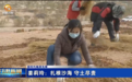 26年如一日垦荒播绿　她施技沙海种出数千亩希望