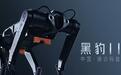全球跑得最快的机器狗：“黑豹 2.0”亮相，移速达10米/秒