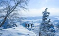 蛟河市体验-场冰雪奇观的邂逅之旅