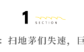 扫地机器人从2024到2025：行业之变、巨头困局与“本质”破局