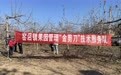 练就果园管理“金剪刀”　泾川开展“冬管大练兵”