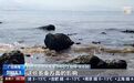 珠海近岸多地水色异常 专家：形成原因有多方面