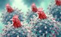 美国科学家拉响警报：新型H5N1禽流感病毒被发现，正威胁人类健康