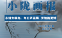 永靖太极岛：冬日芦花飘　岁始韵更娇
