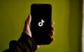 TikTok从App Store下架，苹果发声