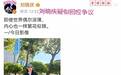刘晓庆发文回应争议，向太爆料内幕