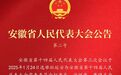 安徽最新人事！杜延安、许继伟、黄晓武当选新职