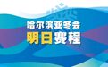 哈尔滨亚冬会2月8日赛程预告