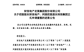 重庆财信房地产正式提交破产重整申请