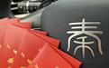 秦车型智驾拨片曝光，10万级智驾家轿要来了