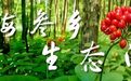 新春“开门红”！长白山机场单日旅客吞吐量再创新高！