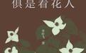 既有彩头、又有吃头的金橘