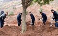 不负好春光！赣州市四套班子领导带头植树