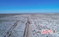 听动物鸣叫辨别习性　他们是茫茫戈壁生态“活地图”