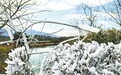 九江八里湖新区：冰挂景观美如画（图）