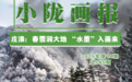 平凉庄浪：春雪润大地　“水墨”入画来