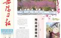 第四届湖南旅游发展大会 | 华容“梅花源”，古韵雅集上演唯美国风