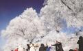 行走雾凇之都 遇到滑雪天堂 ——全国主流媒体走进吉林市调研采访见闻