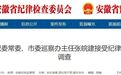 芜湖、马鞍山最新反腐动态！
