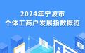 一图读懂丨2024年宁波个体工商户发展指数概览