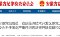 安徽反腐快讯：一厅干被双开，多人被查！