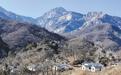 石家庄市灵寿县车谷砣村：靠山吃山吃出“新味道”