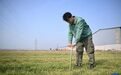 心连心：定制化“土地营养餐”助力春耕