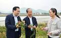 广东农业农村厅中山调研：聚焦富民兴村产业，深耕“百千万工程”