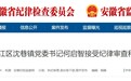涉嫌严重违纪违法，芜湖市鸠江区一镇党委书记被查