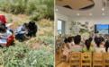 “含绿量”极高！南京这5所学校获国际认证！