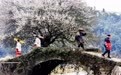 资溪县：山村闻花香（图）