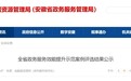 评选结果公示！安徽政务服务效能提升示范案例100个