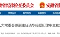 主动投案！安徽一县人大常委会原副主任被查