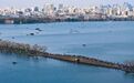 文脉绵延 华章绽放——2024年杭州市宣传思想文化工作综述