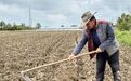 一年超6000万株，“育苗梦工厂”开足马力