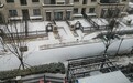 20个小时内下了387个“大明湖”，济南市区最大积雪深度达15厘米