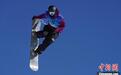 全国自由式和单板滑雪大跳台及坡面障碍技巧冠军赛收官 黑龙江队获3金