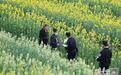 7万余亩油菜花竞相开放 遂川警方全力护航（图）