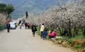 康养界的“村咖”出圈！四川德昌农文旅融合解锁“松弛感”旅行