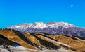 摄影师镜头下的天祝哈溪：雪山巍峨　溪流潺潺