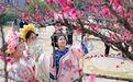 徐州鼓楼：一树梅花激活“梅好经济”新图景