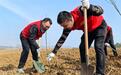 肥西县山南镇：植绿添新，共绘生态新画卷