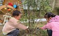 来安县三城镇中心幼儿园开展植树节活动