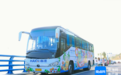 游花海、逛老街 海南环岛旅游公路观光巴士约你周末踏青游