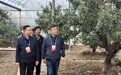草莓飘香引客来 咸祥人大代表“鲜2°”共富舱打开新销路