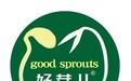 好芽儿：扎根三地市场，铸就行业品质典范