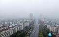 九江：烟雨朦胧三月天（图）