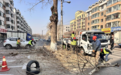 长春市绿园区园林管理中心积极应对大风天气 全力保障城区绿化安全