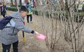 华亭萌娃变身“树管家”　环保玩成沉浸式养成游戏