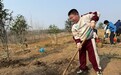 来安县实验小学开展“‘植’此青绿 共‘树’未来”植树节活动